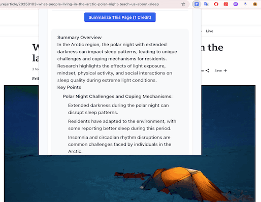 AI Page Summarizer